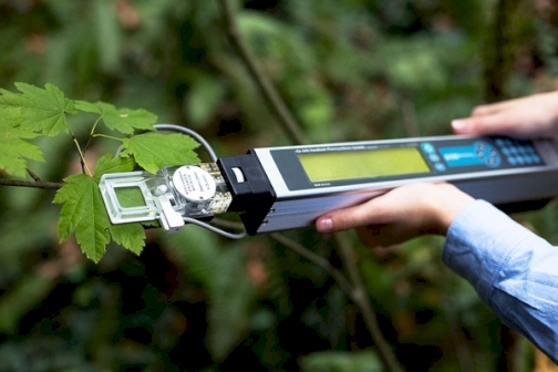 CID_ci340_rucni_mjerac_fotosinteze