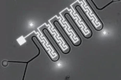 Theromfisher_Nanobuilder--softver